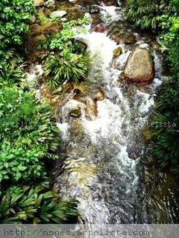 Rio de Choroní