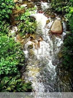 Rio de Choroní