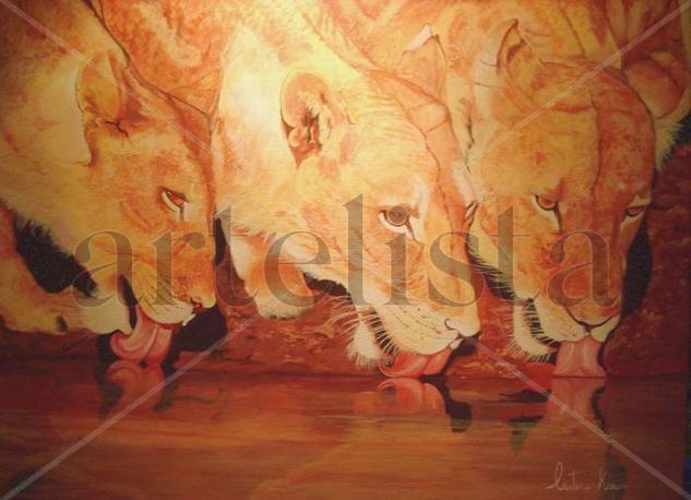 3 leonas sedientas Acrylic Canvas Animals