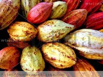 El mejor cacao del mundo