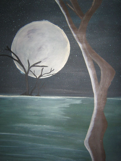 noche Acrylic Panel Others