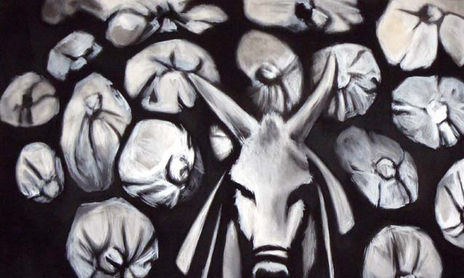 Animales