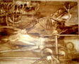 Biomaquina I