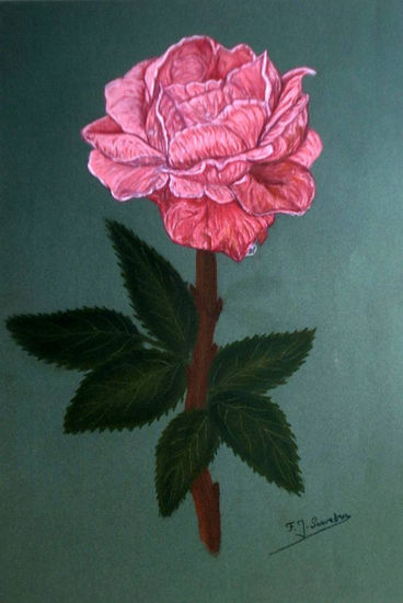 Lagrimas de Rosa Pastel Paper Floral Painting