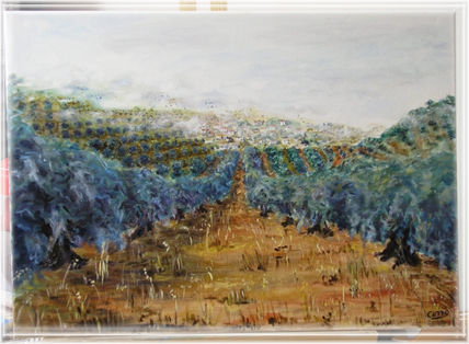 Olivos centenarios