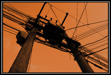Naranja electrico