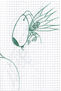 Mosquito