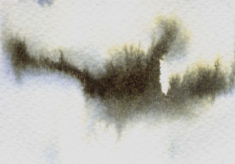 Mist