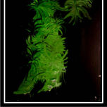 A1 -Expo 2004 Pintura Abstracta thumbnail 1