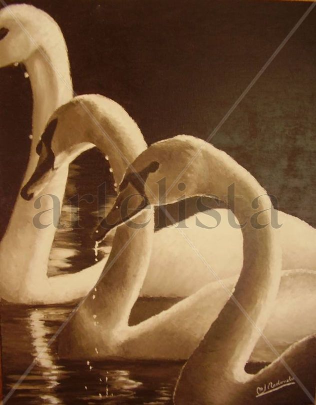 CISNES