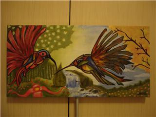 colibri