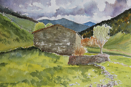 Camino de los pirineos