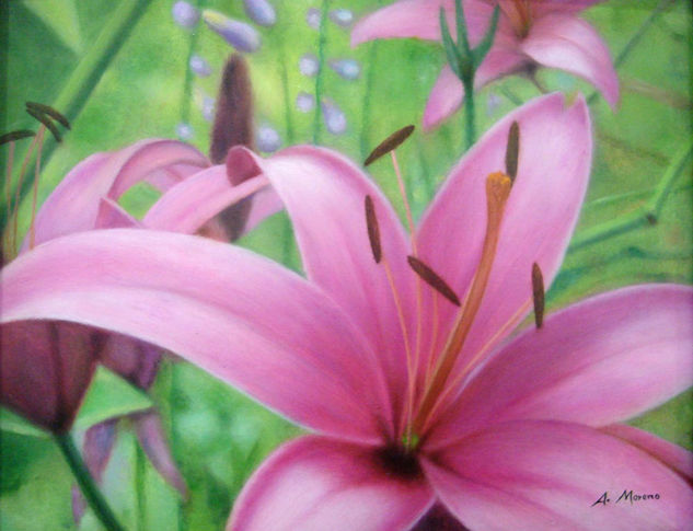 lilius Oil Canvas Landscaping