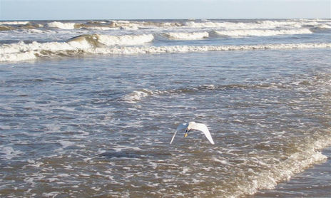 Con mar y agua