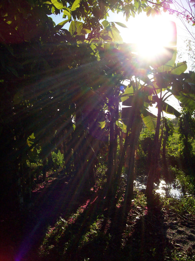 atardecer
