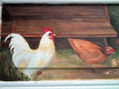 "Gallinas"