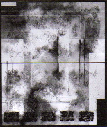 Anima