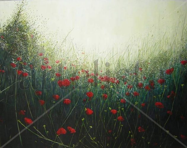 amapolas