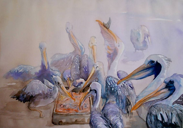 Pelicanos de Algarrobo Watercolour Paper