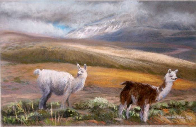 Llamas frente al Licancabur