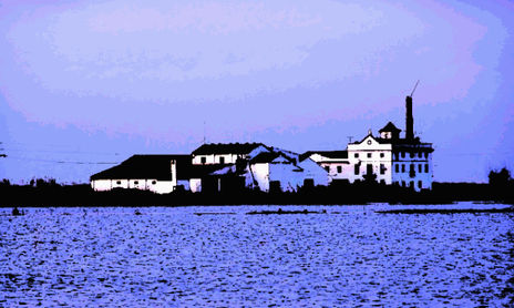 Paisajes de la Albufera