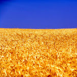 Campos de Castilla thumbnail 2