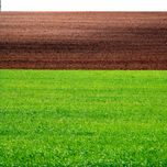 Campos de Castilla thumbnail 1