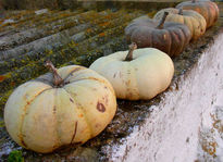 Calabazas