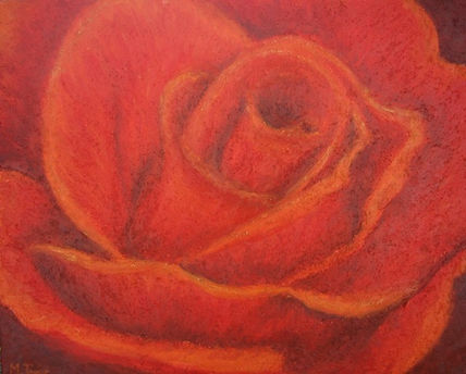 Rosa