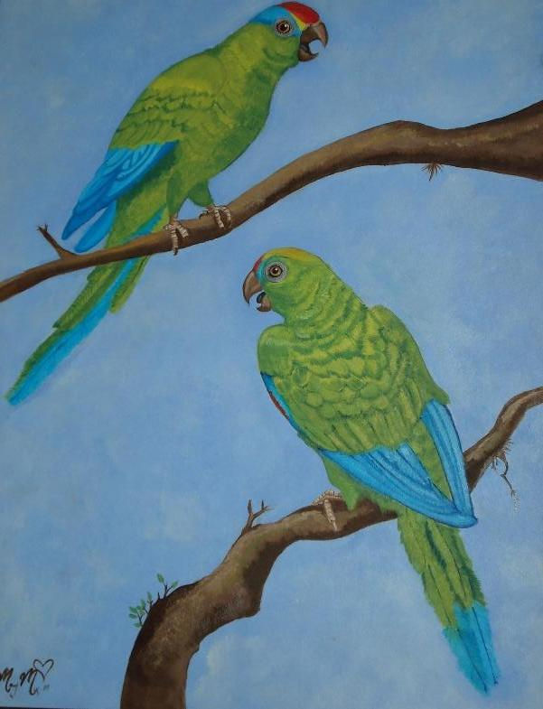 loros