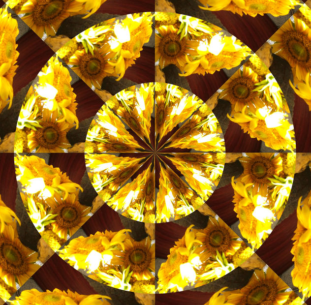 Girasoles al medio dia