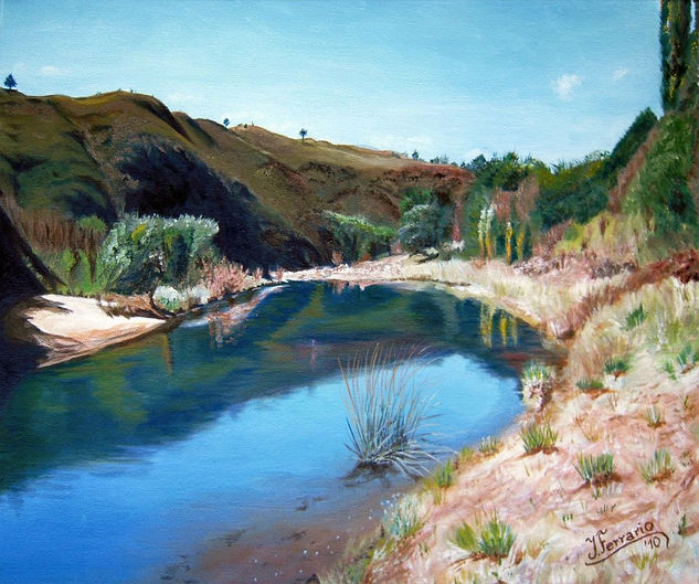 Río Durazno Oil Canvas Landscaping