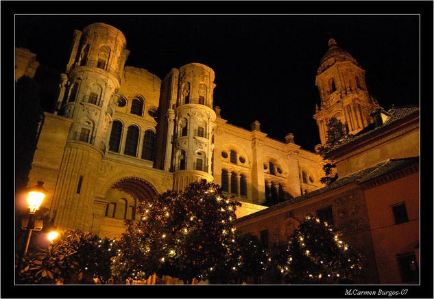 Catedral Arquitectura e interiorismo Color (Digital)