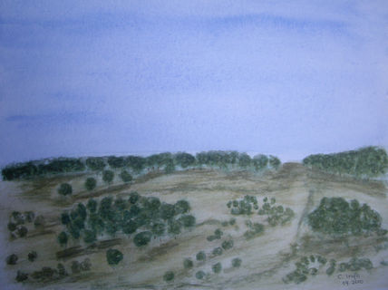 Mirador