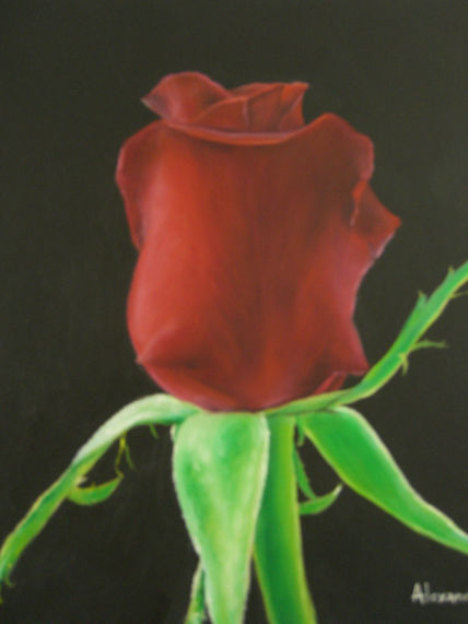 Rosa