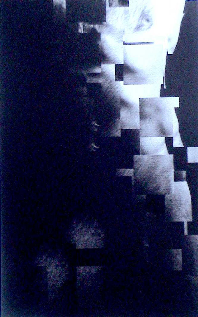 Serie lenguaje y pensamiento II