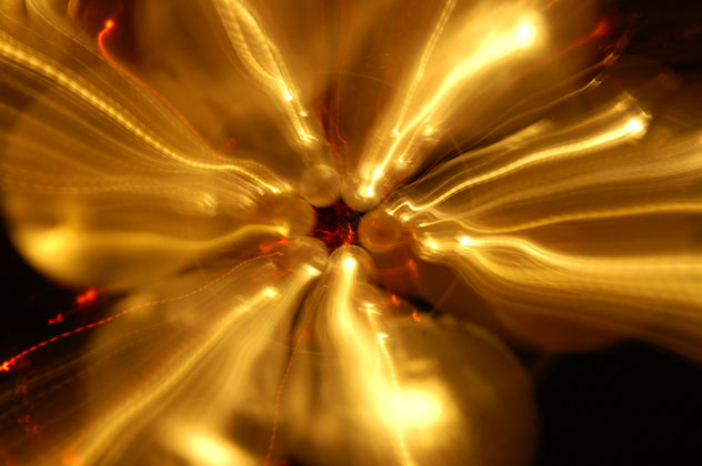 Polos, Serie Luces de Navidad Montreal