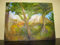 Paisaje