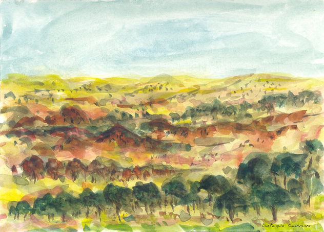 Paisaje de encinas en campo de Toledo