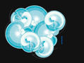 web08