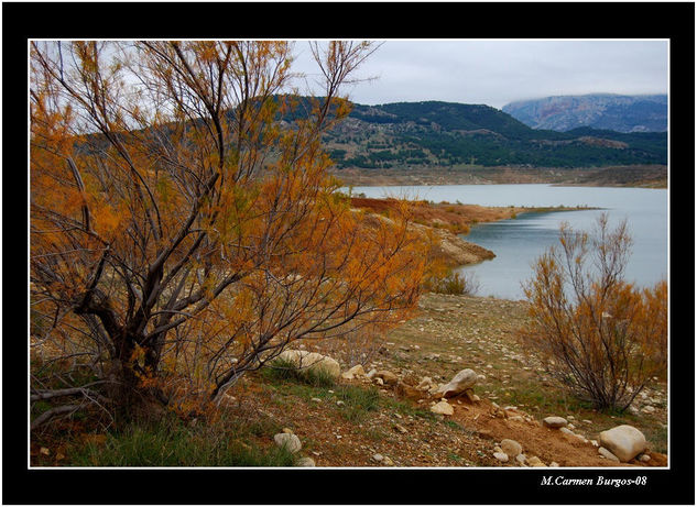 Retama Naturaleza Color (Digital)