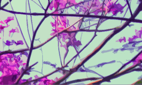 naturaleza