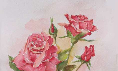 Flores