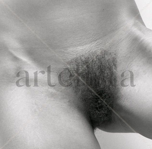 Ana 5