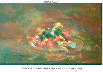 Torero 33x25