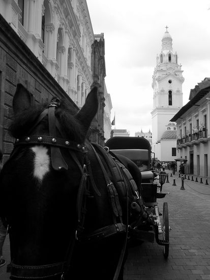 Centro Historico de Quito Arquitectura e interiorismo Blanco y Negro (Digital)