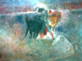 torero4