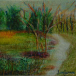 PAISAJES thumbnail 1
