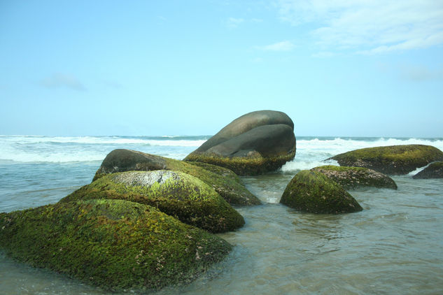 camino de rocas 