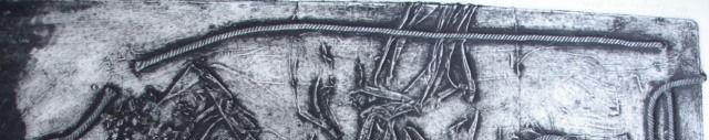 Imagen de portada